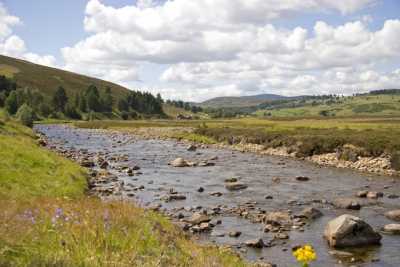 Een typisch Schots landschap in het Cairngorms National Park