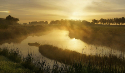 <i class='fa fa-user'></i>&nbsp;Nel R&nbsp;|  Nevel boven de Gouwe&nbsp; <i class='fa fa-eye'>&nbsp;63</i> &nbsp;<i class='fa fa-thumbs-up'>&nbsp;4</i> &nbsp; <i class='fa fa-comment-o'>&nbsp;5</i>