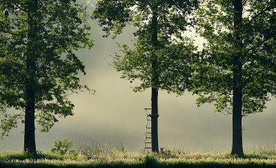 <i class='fa fa-user'></i>&nbsp;robert-jan&nbsp;|  Ree&nbsp; <i class='fa fa-eye'>&nbsp;198</i> &nbsp;<i class='fa fa-thumbs-up'>&nbsp;7</i> &nbsp; <i class='fa fa-comment-o'>&nbsp;11</i>