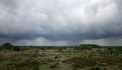 <i class='fa fa-user'></i>&nbsp;nelappelmelk&nbsp;|  Naderende buien&nbsp; <i class='fa fa-eye'>&nbsp;82</i> &nbsp; <i class='fa fa-comment-o'>&nbsp;5</i>