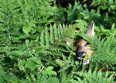 <i class='fa fa-user'></i>&nbsp;robert-jan&nbsp;|  Ree&nbsp; <i class='fa fa-eye'>&nbsp;91</i> &nbsp; <i class='fa fa-comment-o'>&nbsp;4</i>