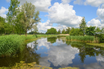 <i class='fa fa-user'></i>&nbsp;B.M.Schouten-Ruis&nbsp;|  Hitland&nbsp; <i class='fa fa-eye'>&nbsp;66</i> &nbsp;<i class='fa fa-thumbs-up'>&nbsp;5</i> &nbsp; <i class='fa fa-comment-o'>&nbsp;4</i>