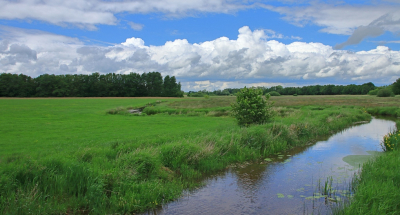 <i class='fa fa-user'></i>&nbsp;Tineke Strijbosch&nbsp;|  Riviertje de Reest&nbsp; <i class='fa fa-eye'>&nbsp;55</i> &nbsp;<i class='fa fa-thumbs-up'>&nbsp;2</i> &nbsp; <i class='fa fa-comment-o'>&nbsp;3</i>