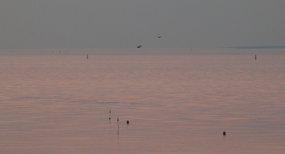 <i class='fa fa-user'></i>&nbsp;Meindert&nbsp;|  Waddenzee&nbsp; <i class='fa fa-eye'>&nbsp;64</i> &nbsp; <i class='fa fa-comment-o'>&nbsp;0</i>