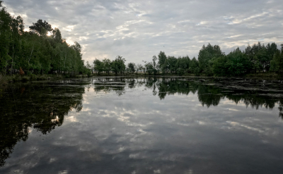 <i class='fa fa-user'></i>&nbsp;nelappelmelk&nbsp;|  Dauwtrappen&nbsp; <i class='fa fa-eye'>&nbsp;66</i> &nbsp;<i class='fa fa-thumbs-up'>&nbsp;1</i> &nbsp; <i class='fa fa-comment-o'>&nbsp;1</i>