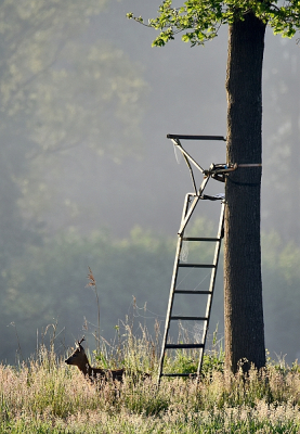 <i class='fa fa-user'></i>&nbsp;robert-jan&nbsp;|  Ree&nbsp; <i class='fa fa-eye'>&nbsp;115</i> &nbsp; <i class='fa fa-comment-o'>&nbsp;0</i>