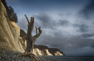 <i class='fa fa-user'></i>&nbsp;Eric Gibcus&nbsp;|  Beuk&nbsp; <i class='fa fa-eye'>&nbsp;108</i> &nbsp; <i class='fa fa-comment-o'>&nbsp;3</i>