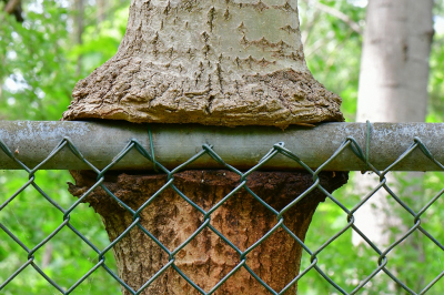 <i class='fa fa-user'></i>&nbsp;Bert Veerman&nbsp;|  De Omarming&nbsp; <i class='fa fa-eye'>&nbsp;83</i> &nbsp;<i class='fa fa-thumbs-up'>&nbsp;2</i> &nbsp; <i class='fa fa-comment-o'>&nbsp;2</i>