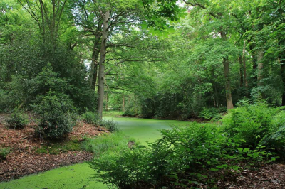 <i class='fa fa-user'></i>&nbsp;Tineke Strijbosch&nbsp;|  Oase van groen&nbsp; <i class='fa fa-eye'>&nbsp;66</i> &nbsp;<i class='fa fa-thumbs-up'>&nbsp;1</i> &nbsp; <i class='fa fa-comment-o'>&nbsp;7</i>