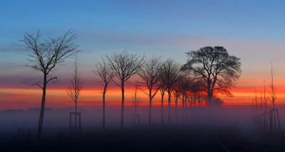 <i class='fa fa-user'></i>&nbsp;Eric Gibcus&nbsp;|  Linde&nbsp; <i class='fa fa-eye'>&nbsp;82</i> &nbsp;<i class='fa fa-thumbs-up'>&nbsp;3</i> &nbsp; <i class='fa fa-comment-o'>&nbsp;1</i>