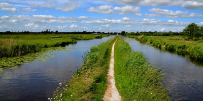 <i class='fa fa-user'></i>&nbsp;B.M.Schouten-Ruis&nbsp;|  Polderlandschap- pad Winterdijk&nbsp; <i class='fa fa-eye'>&nbsp;59</i> &nbsp;<i class='fa fa-thumbs-up'>&nbsp;1</i> &nbsp; <i class='fa fa-comment-o'>&nbsp;2</i>