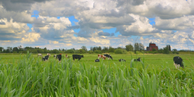 <i class='fa fa-user'></i>&nbsp;B.M.Schouten-Ruis&nbsp;|  Hitland&nbsp; <i class='fa fa-eye'>&nbsp;64</i> &nbsp; <i class='fa fa-comment-o'>&nbsp;0</i>