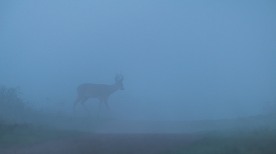 <i class='fa fa-user'></i>&nbsp;Jacob-Carl Pauw&nbsp;|  Ree&nbsp; <i class='fa fa-eye'>&nbsp;79</i> &nbsp;<i class='fa fa-thumbs-up'>&nbsp;4</i> &nbsp; <i class='fa fa-comment-o'>&nbsp;5</i>