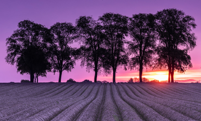 Deze foto is gemaakt tijdens zonsopkomst met een 70-200mm voorzien van een verloopfilter