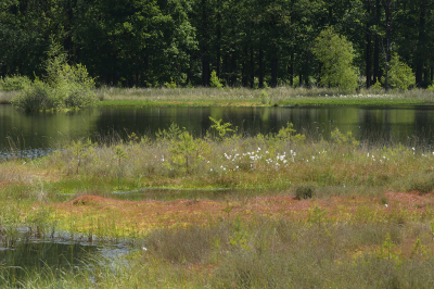 <i class='fa fa-user'></i>&nbsp;Hendrik van Kampen&nbsp;|  Pingoru�ne met venige oevers&nbsp; <i class='fa fa-eye'>&nbsp;75</i> &nbsp;<i class='fa fa-thumbs-up'>&nbsp;1</i> &nbsp; <i class='fa fa-comment-o'>&nbsp;2</i>