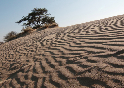 <i class='fa fa-user'></i>&nbsp;Meindert&nbsp;|  Zandverstuiving&nbsp; <i class='fa fa-eye'>&nbsp;71</i> &nbsp; <i class='fa fa-comment-o'>&nbsp;4</i>