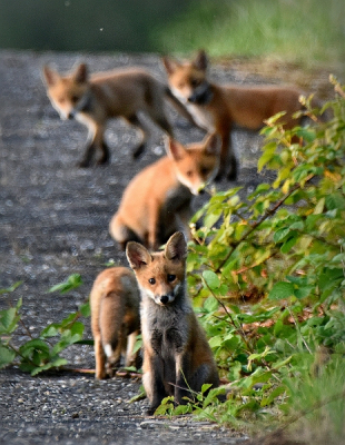 <i class='fa fa-user'></i>&nbsp;robert-jan&nbsp;|  Vos&nbsp; <i class='fa fa-eye'>&nbsp;135</i> &nbsp; <i class='fa fa-comment-o'>&nbsp;2</i>