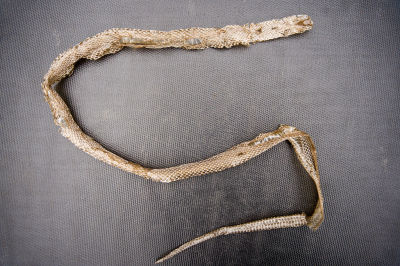 <i class='fa fa-user'></i>&nbsp;Ties Niehof&nbsp;|  Ringslang&nbsp; <i class='fa fa-eye'>&nbsp;89</i> &nbsp; <i class='fa fa-comment-o'>&nbsp;2</i>