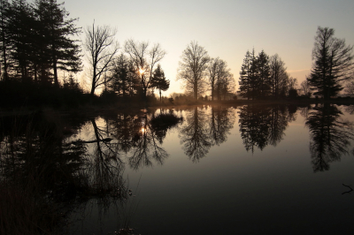 <i class='fa fa-user'></i>&nbsp;Meindert&nbsp;|  Vennetje&nbsp; <i class='fa fa-eye'>&nbsp;59</i> &nbsp; <i class='fa fa-comment-o'>&nbsp;3</i>