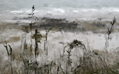 <i class='fa fa-user'></i>&nbsp;liesbeth van vliet&nbsp;|  Plensbui&nbsp; <i class='fa fa-eye'>&nbsp;227</i> &nbsp;<i class='fa fa-thumbs-up'>&nbsp;14</i> &nbsp; <i class='fa fa-comment-o'>&nbsp;10</i>