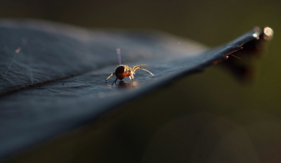 <i class='fa fa-user'></i>&nbsp;rixte&nbsp;|  Venstersectorspin&nbsp; <i class='fa fa-eye'>&nbsp;67</i> &nbsp; <i class='fa fa-comment-o'>&nbsp;6</i>