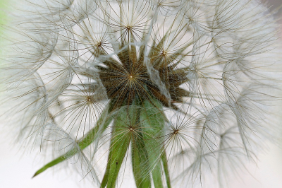 <i class='fa fa-user'></i>&nbsp;frbeuming&nbsp;|  Gele Morgenster&nbsp; <i class='fa fa-eye'>&nbsp;56</i> &nbsp;<i class='fa fa-thumbs-up'>&nbsp;4</i> &nbsp; <i class='fa fa-comment-o'>&nbsp;5</i>