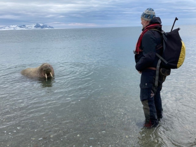 Arjen en een van z'n vriendjes. Uiteindelijk kwamen er 7 walrussen op zo'n 2m van me liggen en spelen.