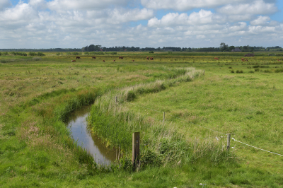 <i class='fa fa-user'></i>&nbsp;Hendrik van Kampen&nbsp;|  Zwagermieden&nbsp; <i class='fa fa-eye'>&nbsp;82</i> &nbsp;<i class='fa fa-thumbs-up'>&nbsp;2</i> &nbsp; <i class='fa fa-comment-o'>&nbsp;6</i>