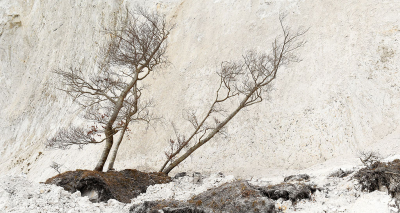 <i class='fa fa-user'></i>&nbsp;Eric Gibcus&nbsp;|  Beuk&nbsp; <i class='fa fa-eye'>&nbsp;69</i> &nbsp;<i class='fa fa-thumbs-up'>&nbsp;2</i> &nbsp; <i class='fa fa-comment-o'>&nbsp;2</i>