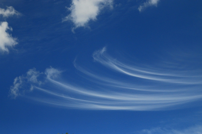 <i class='fa fa-user'></i>&nbsp;frbeuming&nbsp;|  Windveren&nbsp; <i class='fa fa-eye'>&nbsp;71</i> &nbsp;<i class='fa fa-thumbs-up'>&nbsp;3</i> &nbsp; <i class='fa fa-comment-o'>&nbsp;4</i>