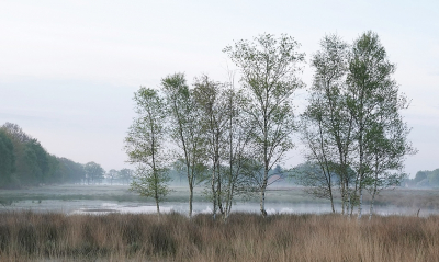 <i class='fa fa-user'></i>&nbsp;Ben Aalders&nbsp;|  Mistig landschap&nbsp; <i class='fa fa-eye'>&nbsp;83</i> &nbsp;<i class='fa fa-thumbs-up'>&nbsp;3</i> &nbsp; <i class='fa fa-comment-o'>&nbsp;2</i>