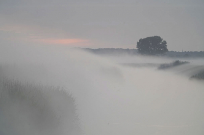 Toen ik rond 5:00 de polder in reed lag er een dikke mist over de grond.  Ben op een brug gaan staan en deze foto gemaakt waar de zon op komt.