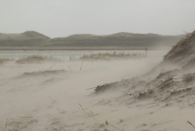 <i class='fa fa-user'></i>&nbsp;Meindert&nbsp;|  Slufter&nbsp; <i class='fa fa-eye'>&nbsp;63</i> &nbsp;<i class='fa fa-thumbs-up'>&nbsp;1</i> &nbsp; <i class='fa fa-comment-o'>&nbsp;1</i>