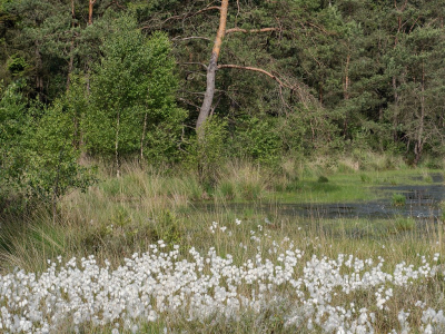 <i class='fa fa-user'></i>&nbsp;Tim Oord&nbsp;|  Veenpluis&nbsp; <i class='fa fa-eye'>&nbsp;70</i> &nbsp; <i class='fa fa-comment-o'>&nbsp;2</i>