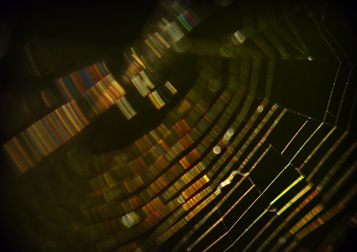 <i class='fa fa-user'></i>&nbsp;Nel R&nbsp;|  Web&nbsp; <i class='fa fa-eye'>&nbsp;96</i> &nbsp;<i class='fa fa-thumbs-up'>&nbsp;5</i> &nbsp; <i class='fa fa-comment-o'>&nbsp;5</i>