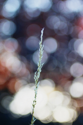 <i class='fa fa-user'></i>&nbsp;Ruben de Bruijn&nbsp;|  Glanshaver&nbsp; <i class='fa fa-eye'>&nbsp;60</i> &nbsp;<i class='fa fa-thumbs-up'>&nbsp;1</i> &nbsp; <i class='fa fa-comment-o'>&nbsp;7</i>