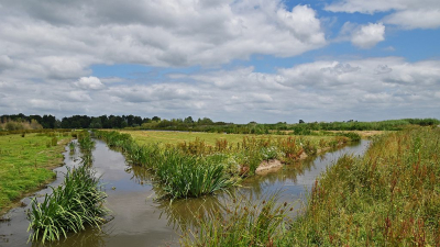 <i class='fa fa-user'></i>&nbsp;kooyammers&nbsp;|  Moeras in wording&nbsp; <i class='fa fa-eye'>&nbsp;74</i> &nbsp;<i class='fa fa-thumbs-up'>&nbsp;2</i> &nbsp; <i class='fa fa-comment-o'>&nbsp;3</i>