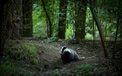 <i class='fa fa-user'></i>&nbsp;Jacob-Carl Pauw&nbsp;|  Das&nbsp; <i class='fa fa-eye'>&nbsp;114</i> &nbsp; <i class='fa fa-comment-o'>&nbsp;2</i>