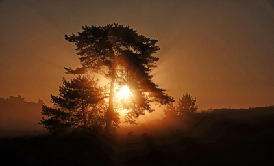 <i class='fa fa-user'></i>&nbsp;nelappelmelk&nbsp;|  Vroege morgen&nbsp; <i class='fa fa-eye'>&nbsp;75</i> &nbsp;<i class='fa fa-thumbs-up'>&nbsp;2</i> &nbsp; <i class='fa fa-comment-o'>&nbsp;8</i>