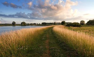 Het begin van het Laarzenpad op de dijk naar de Vreugderijkerwaard, links de sluiskom richting het Zwolle-IJsselkanaal de verbinding naar het Zwartewater. De IJssel ligt achter de witte paal. Er wordt anders gemaaid tegenwoordig en zijn de bermen ondertussen een meter hoog en worden hier mooi verlicht door de lage zon.