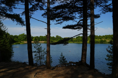 <i class='fa fa-user'></i>&nbsp;hesterb&nbsp;|  Duinmeer&nbsp; <i class='fa fa-eye'>&nbsp;64</i> &nbsp; <i class='fa fa-comment-o'>&nbsp;1</i>