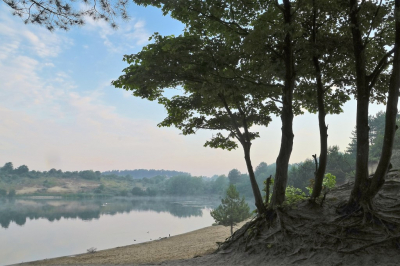 <i class='fa fa-user'></i>&nbsp;hesterb&nbsp;|  Duinmeer&nbsp; <i class='fa fa-eye'>&nbsp;87</i> &nbsp;<i class='fa fa-thumbs-up'>&nbsp;1</i> &nbsp; <i class='fa fa-comment-o'>&nbsp;4</i>