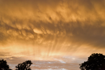 <i class='fa fa-user'></i>&nbsp;Ties Niehof&nbsp;|  Zonsondergang&nbsp; <i class='fa fa-eye'>&nbsp;71</i> &nbsp;<i class='fa fa-thumbs-up'>&nbsp;1</i> &nbsp; <i class='fa fa-comment-o'>&nbsp;3</i>