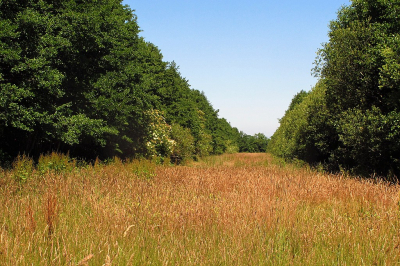 <i class='fa fa-user'></i>&nbsp;frbeuming&nbsp;|  Landschap&nbsp; <i class='fa fa-eye'>&nbsp;58</i> &nbsp; <i class='fa fa-comment-o'>&nbsp;1</i>