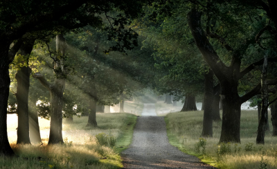 <i class='fa fa-user'></i>&nbsp;nelappelmelk&nbsp;|  Zonneharpen&nbsp; <i class='fa fa-eye'>&nbsp;108</i> &nbsp;<i class='fa fa-thumbs-up'>&nbsp;7</i> &nbsp; <i class='fa fa-comment-o'>&nbsp;10</i>