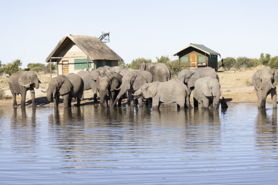 <i class='fa fa-user'></i>&nbsp;momo&nbsp;|  Afrikaanse Olifant&nbsp; <i class='fa fa-eye'>&nbsp;115</i> &nbsp; <i class='fa fa-comment-o'>&nbsp;1</i>