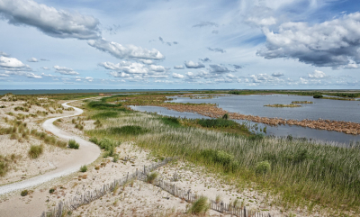 <i class='fa fa-user'></i>&nbsp;nelappelmelk&nbsp;|  Uitzicht vanaf een kijktoren&nbsp; <i class='fa fa-eye'>&nbsp;95</i> &nbsp;<i class='fa fa-thumbs-up'>&nbsp;2</i> &nbsp; <i class='fa fa-comment-o'>&nbsp;6</i>
