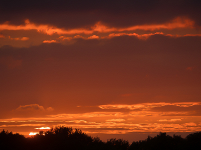 <i class='fa fa-user'></i>&nbsp;Truus Aletta Maan&nbsp;|  Zonsondergang&nbsp; <i class='fa fa-eye'>&nbsp;47</i> &nbsp;<i class='fa fa-thumbs-up'>&nbsp;1</i> &nbsp; <i class='fa fa-comment-o'>&nbsp;0</i>