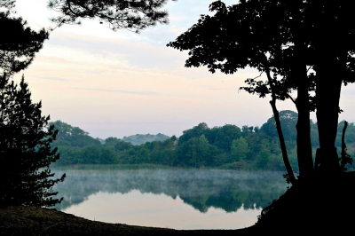 <i class='fa fa-user'></i>&nbsp;hesterb&nbsp;|  Duinmeer&nbsp; <i class='fa fa-eye'>&nbsp;76</i> &nbsp; <i class='fa fa-comment-o'>&nbsp;2</i>