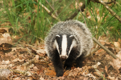 <i class='fa fa-user'></i>&nbsp;David&nbsp;|  Das&nbsp; <i class='fa fa-eye'>&nbsp;122</i> &nbsp;<i class='fa fa-thumbs-up'>&nbsp;3</i> &nbsp; <i class='fa fa-comment-o'>&nbsp;3</i>